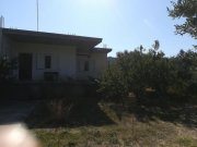 Spilia bei Kolymvari Haus im Grünen mit Olivenhain Haus kaufen